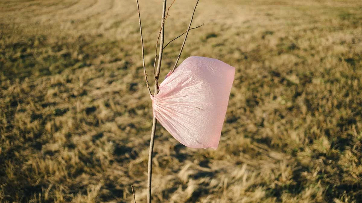 plastic-bag.jpg