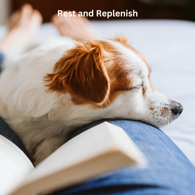 Rest - The Thing We Often Put Last