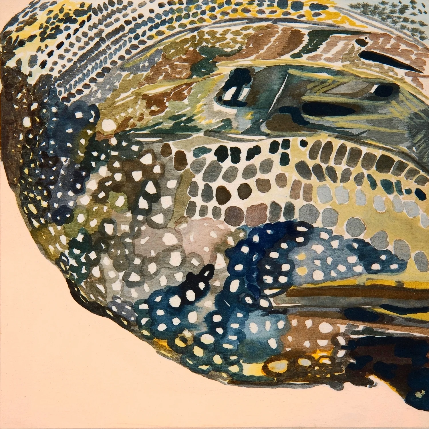 Quail