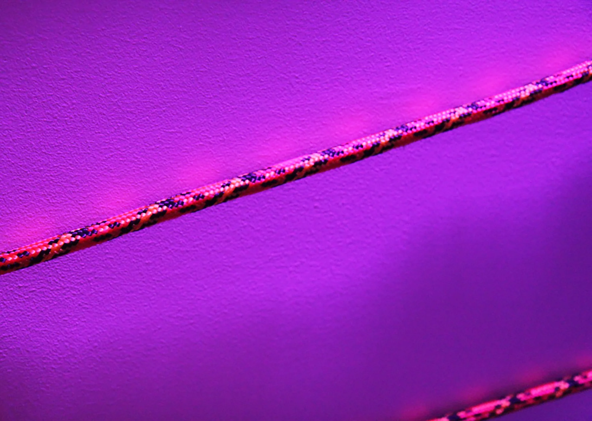 Snake Stuck in a Couch | detail |