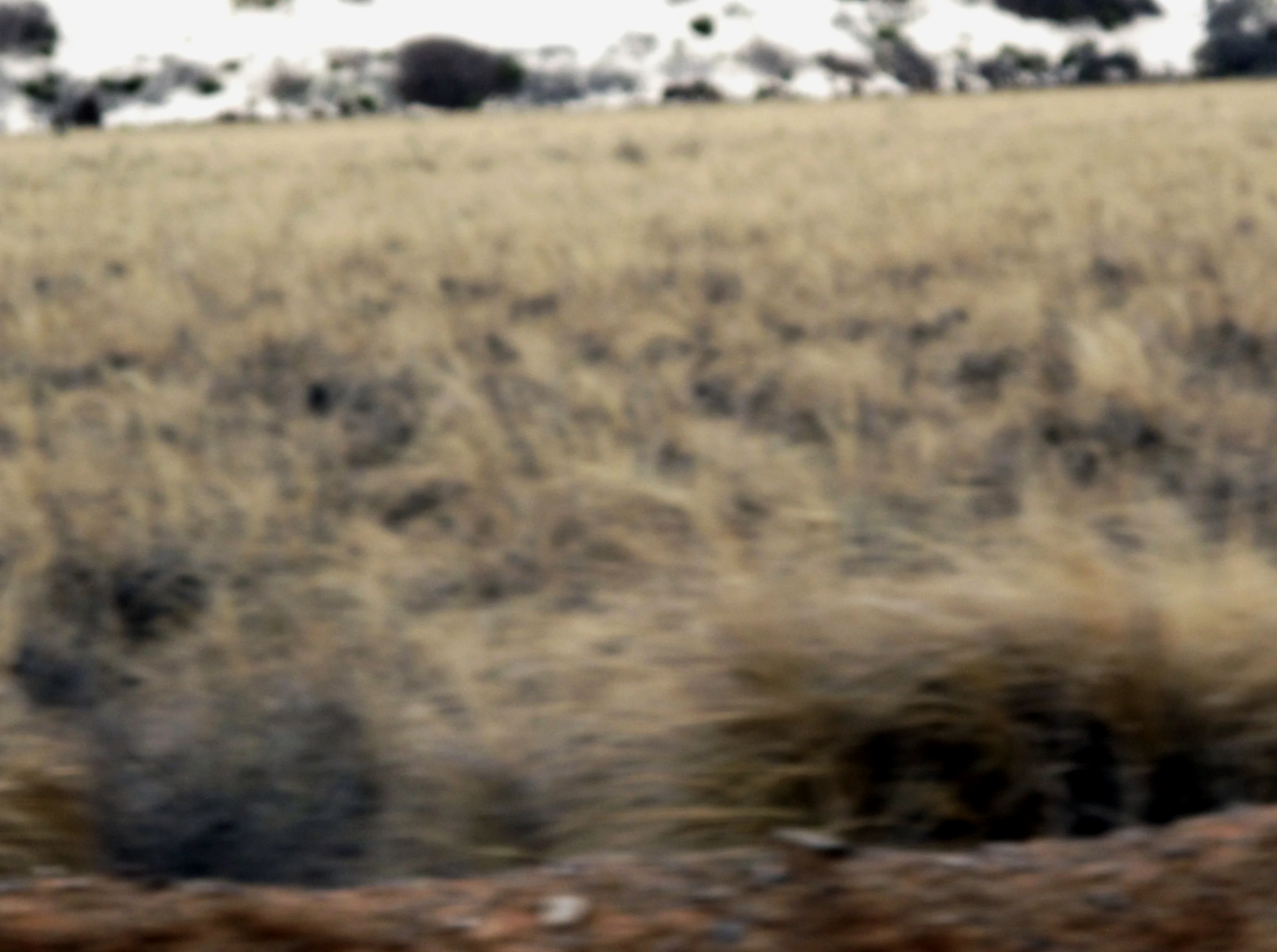 APACHE_LAND