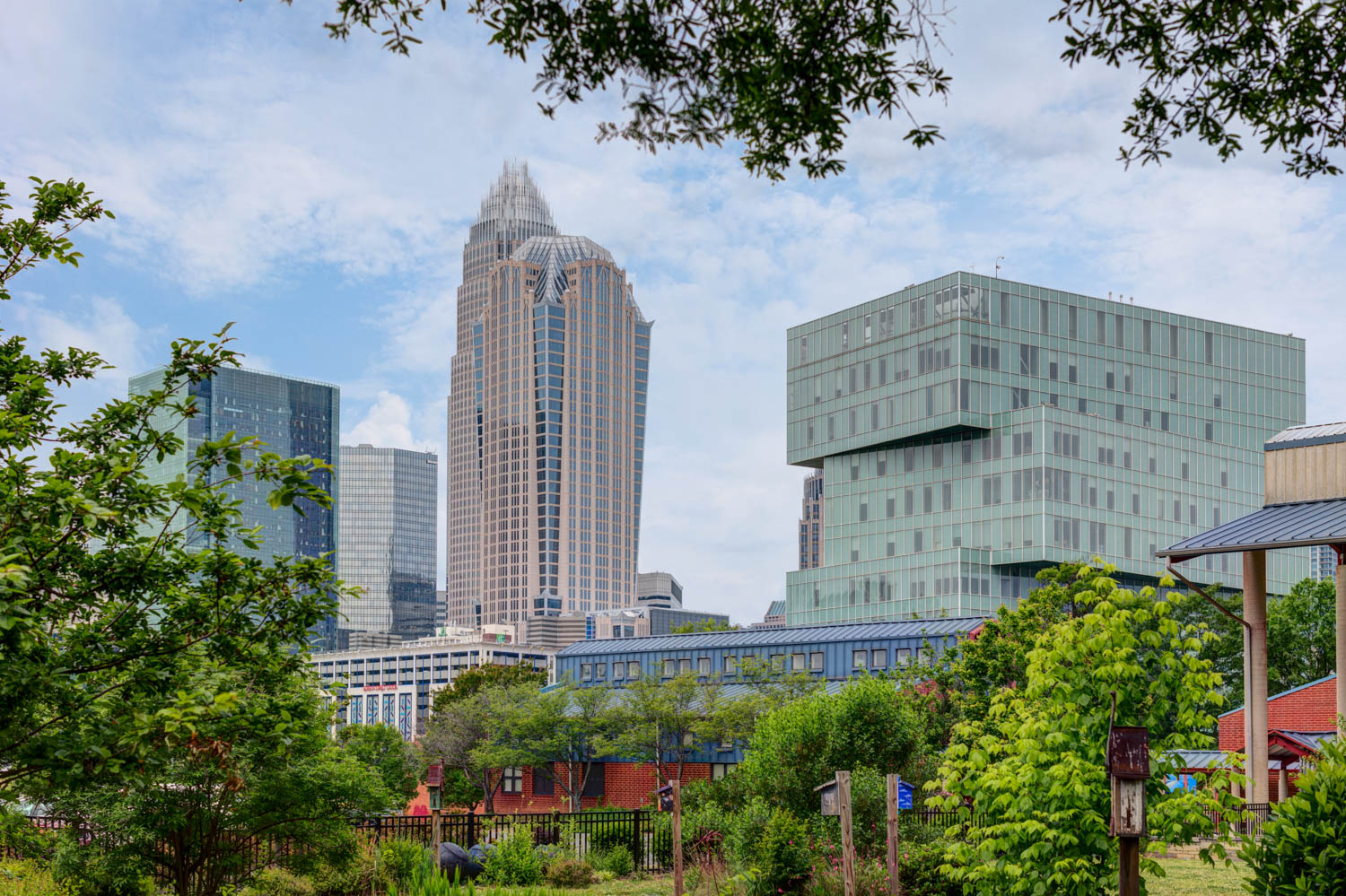 architecture photography of uptown charlotte buildings.jpg