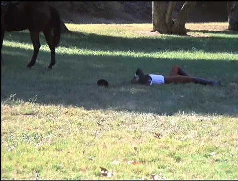 And Frankie is down for the count!