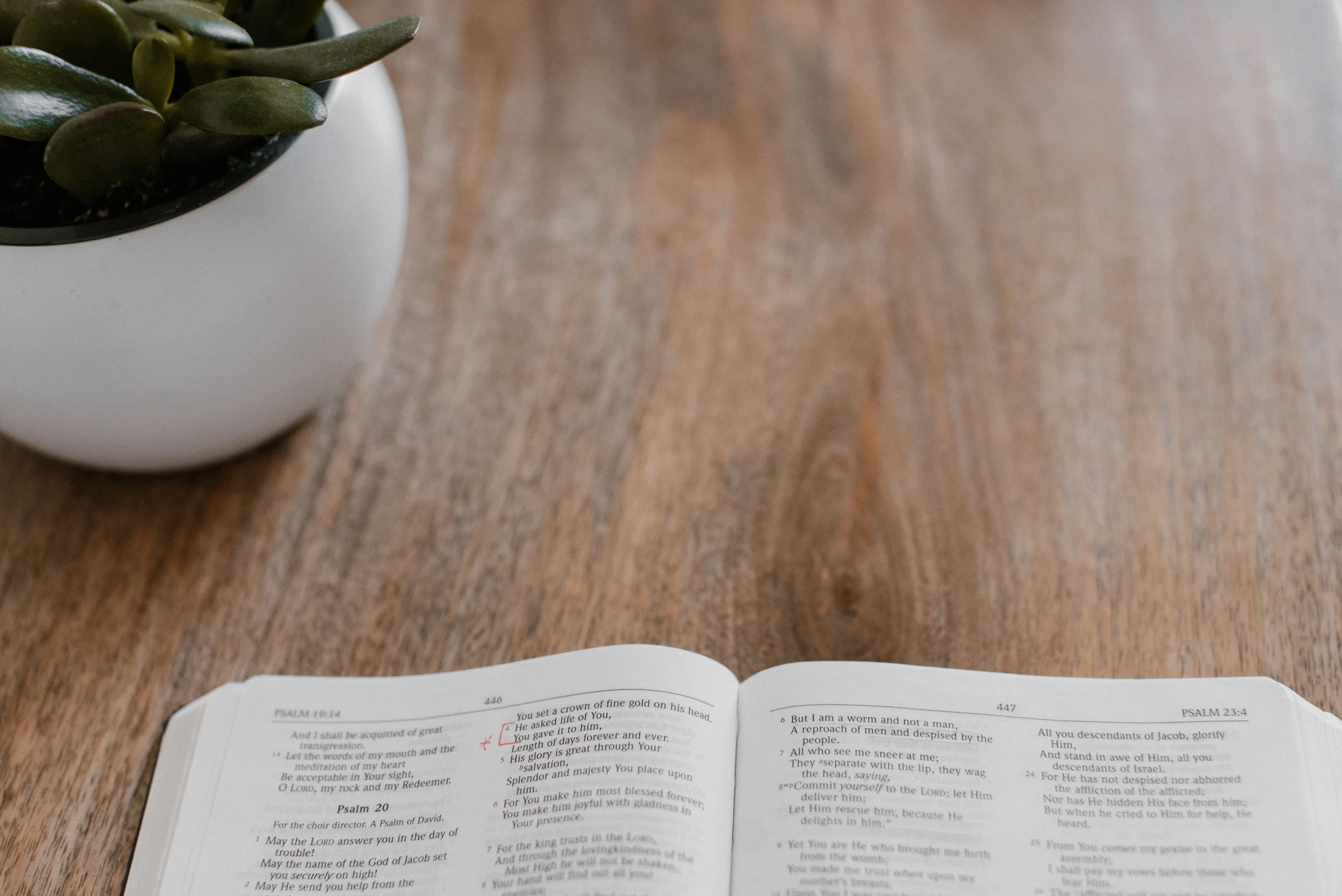 lightstock_548955_download_medium_stlukes_.jpg