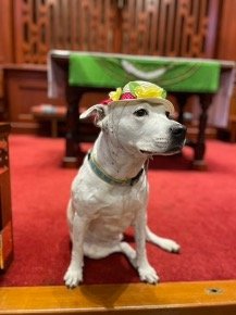 Everything Has Changed