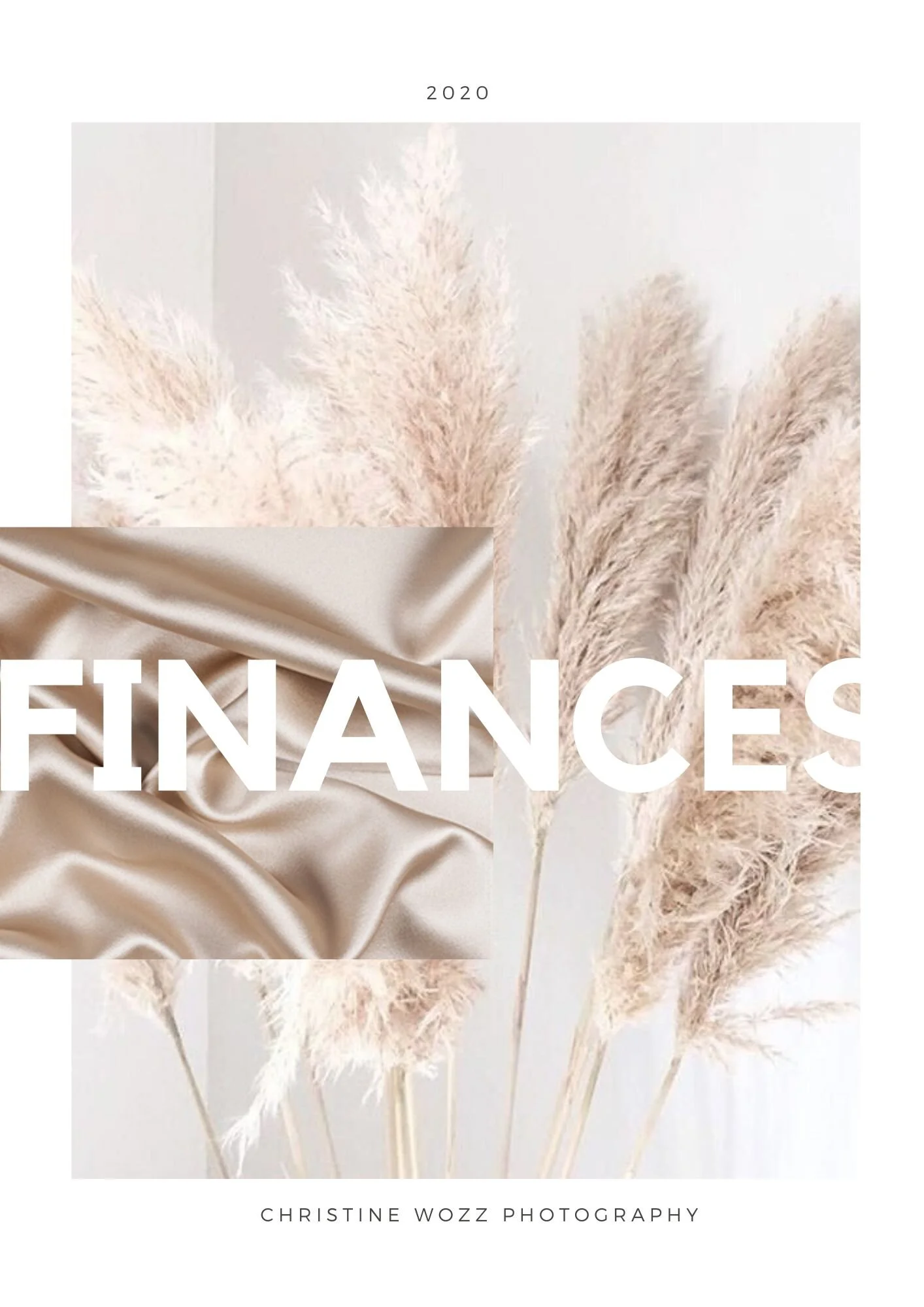 [Original size] Finance Sheet.jpg