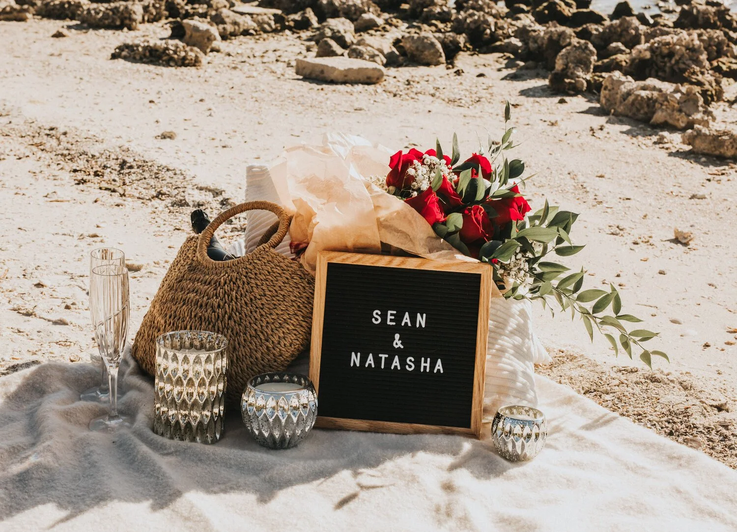 Sean + Natasha Mihm Proposal Shoot