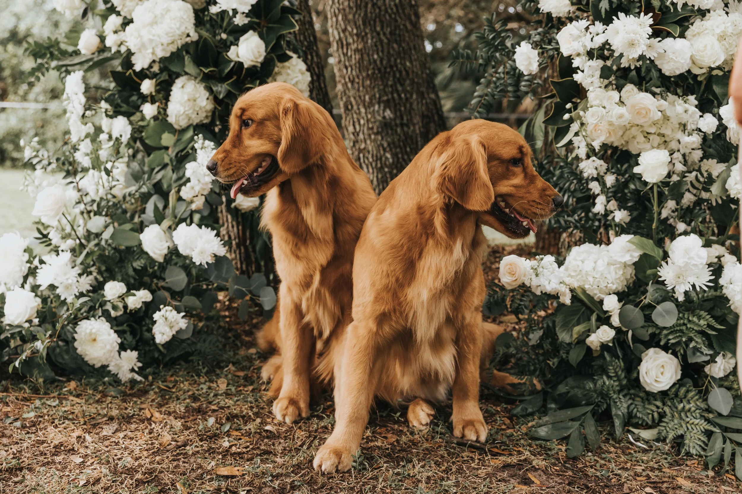 301A0174ChristineWozzPhoto.jpg
