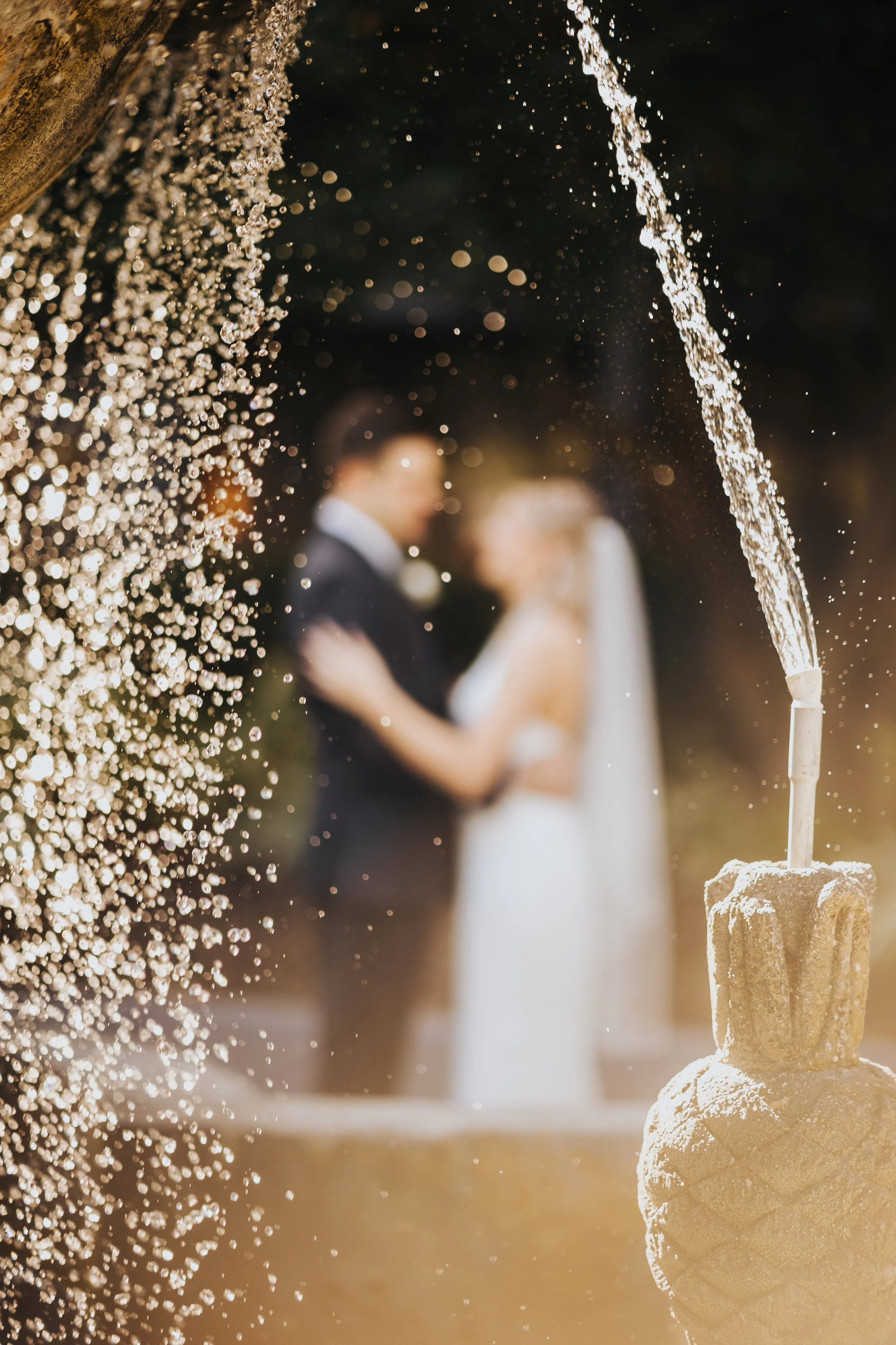 IMG_4077ChristineWozzPhoto.jpg
