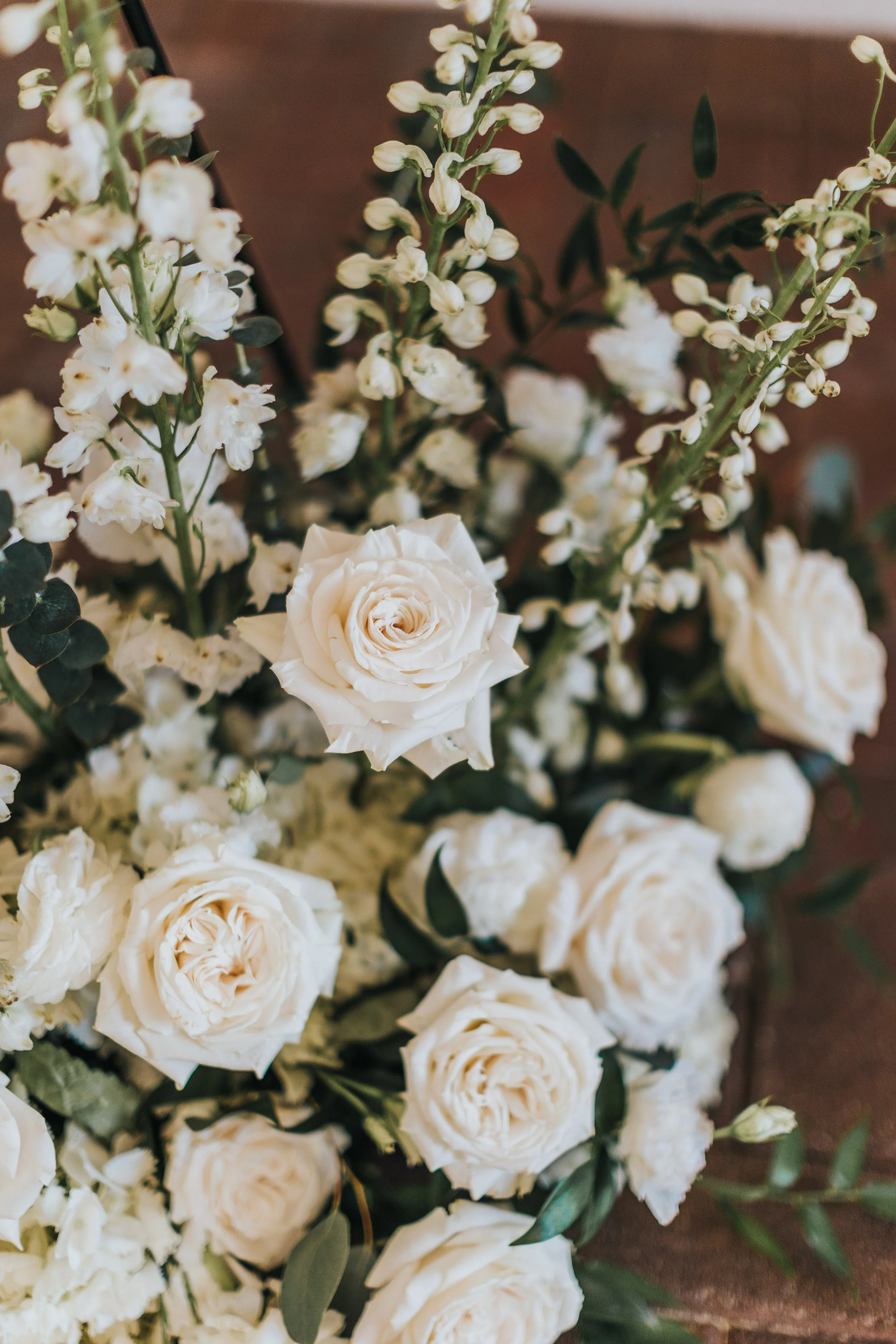 IMG_4944ChristineWozzPhoto.jpg