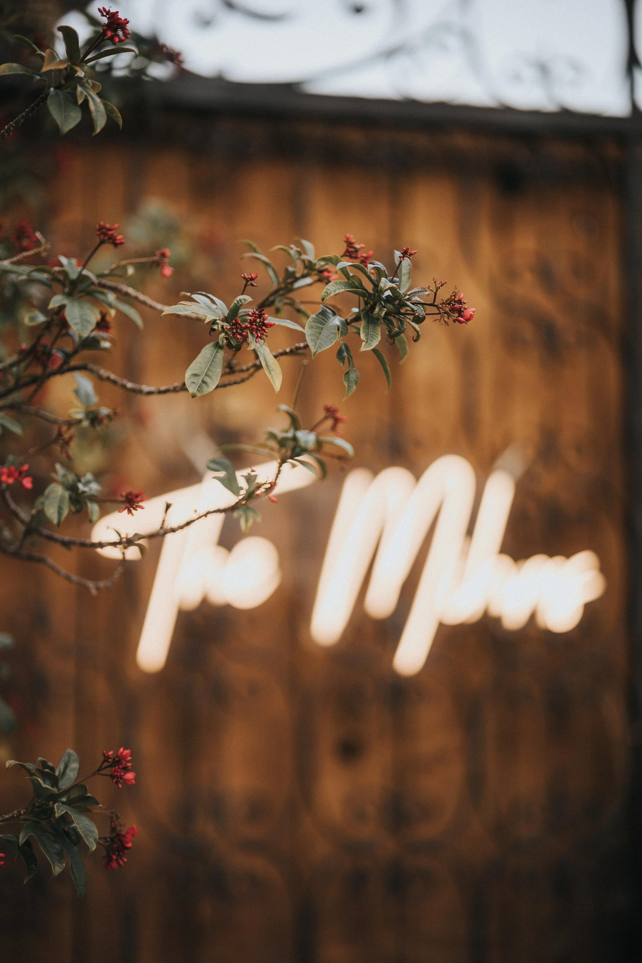 IMG_5427ChristineWozzPhoto.jpg