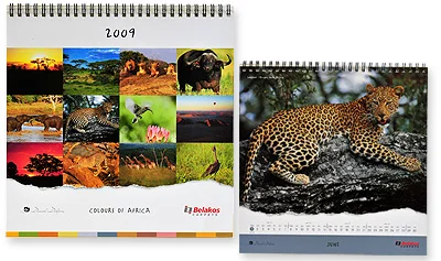 sappi-africa-2010-calendars-silver.jpg