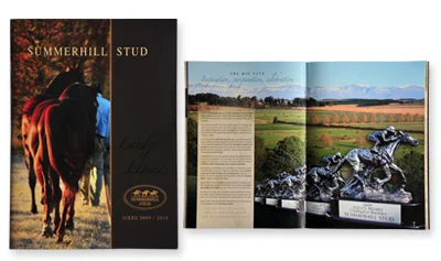 sappi-africa-2010-brochures-bronze.jpg