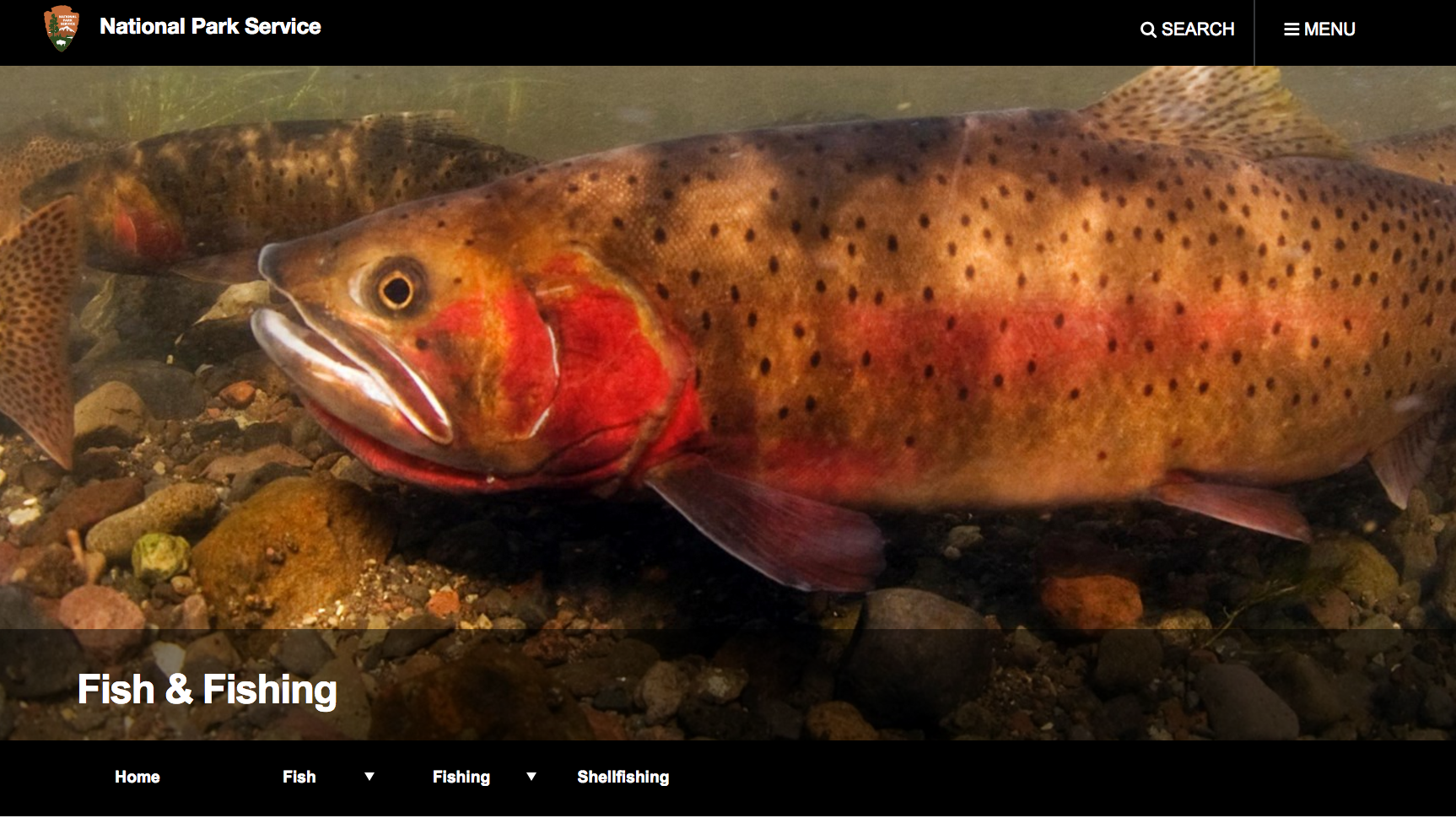 Screen Shot 2017-05-25 at 4.40.34 PM.png