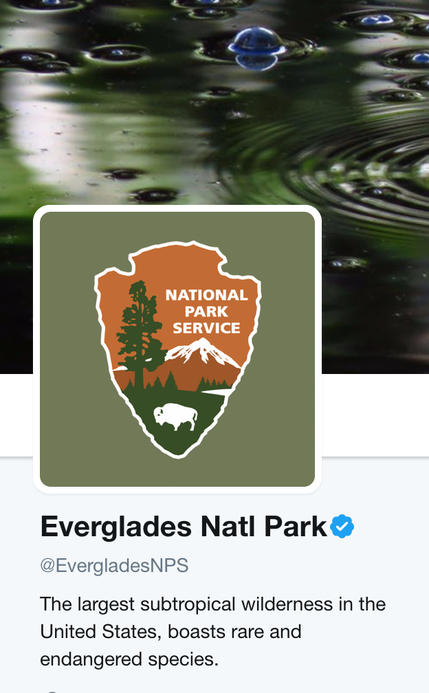 Screen Shot 2017-05-25 at 5.04.01 PM.png