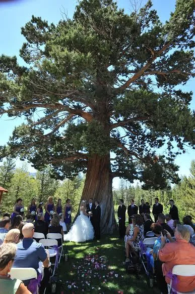 Miculinich - Dietrich Wedding