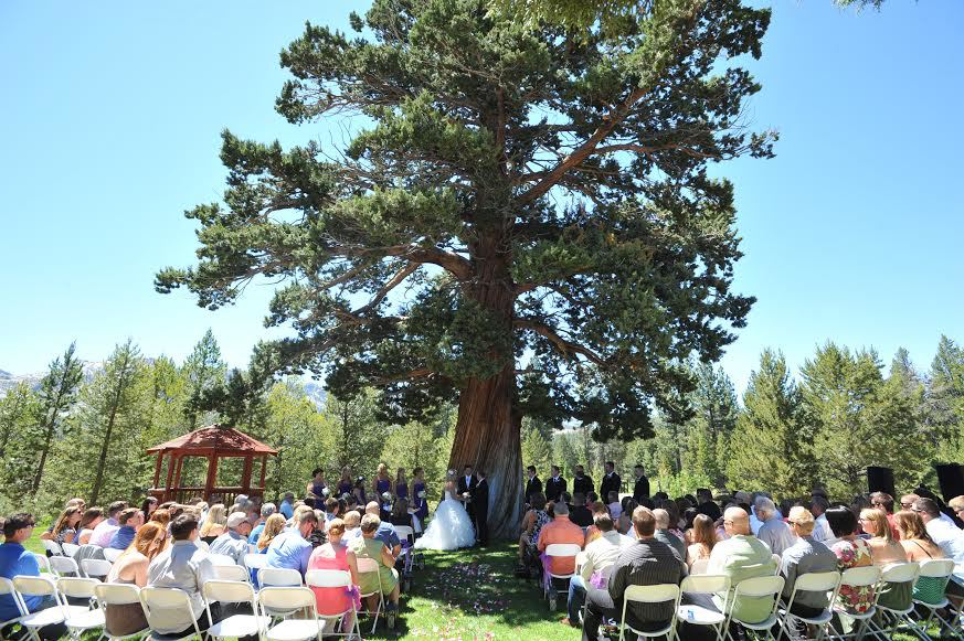 Miculinich - Dietrich Wedding