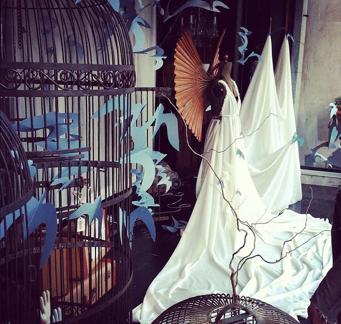 BIRDS