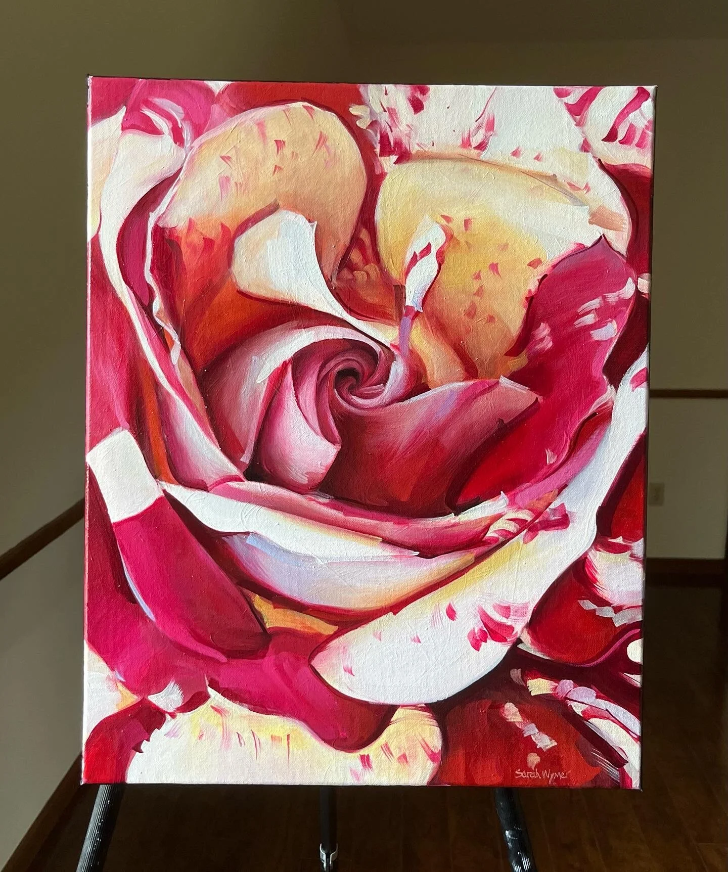 Original oil painting of a red and cream rose in close-up detail, floral canvas wall art by artist Sarah Wymer