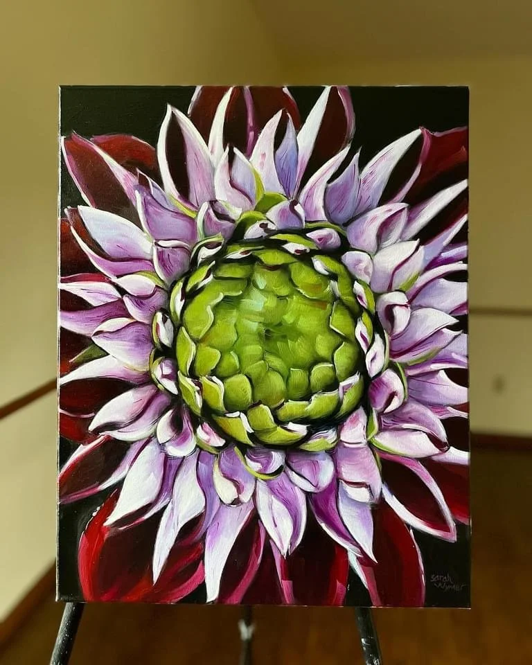 Original oil painting of a purple and green dahlia flower, 16x20 floral wall art on canvas by artist Sarah Wymer
