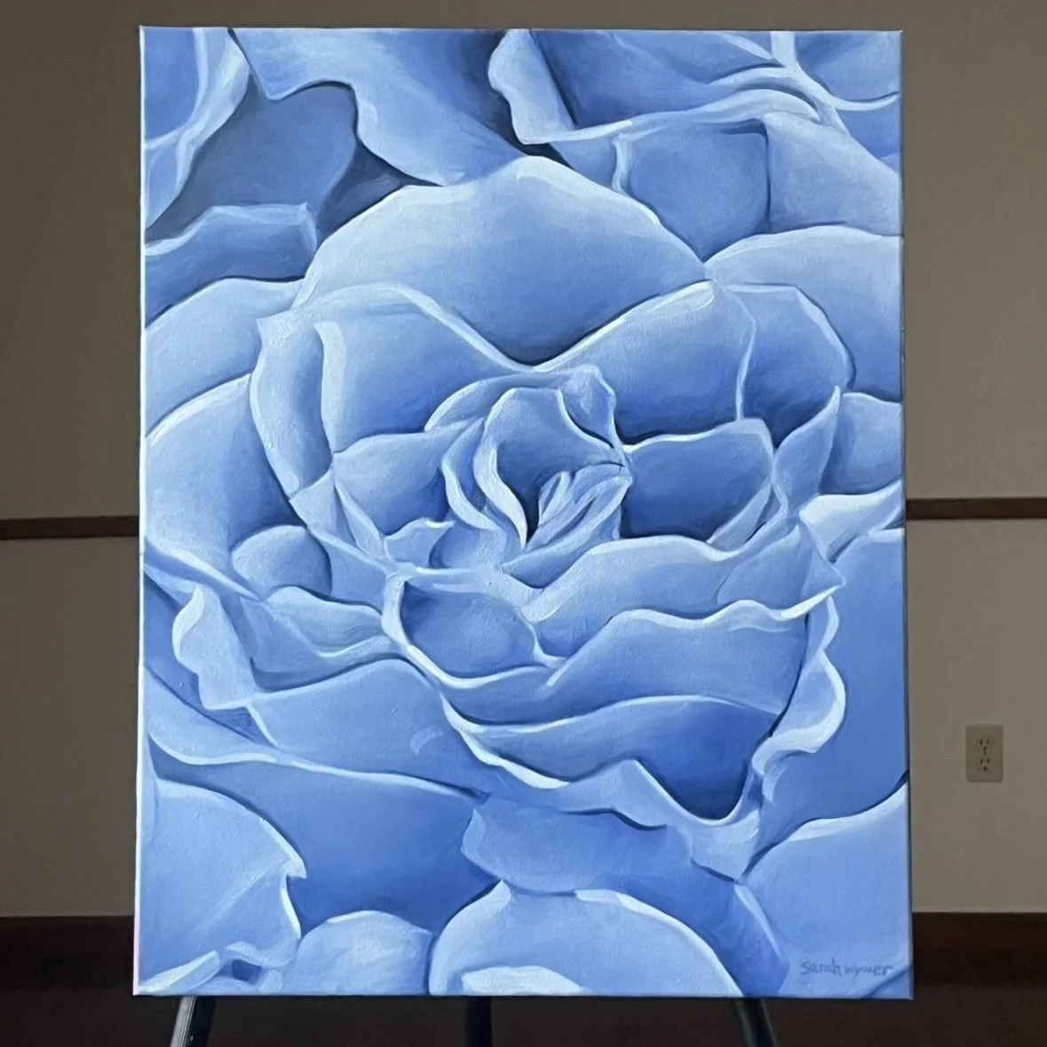 Original oil painting of a blue rose, 16x20 floral canvas wall art by artist Sarah Wymer