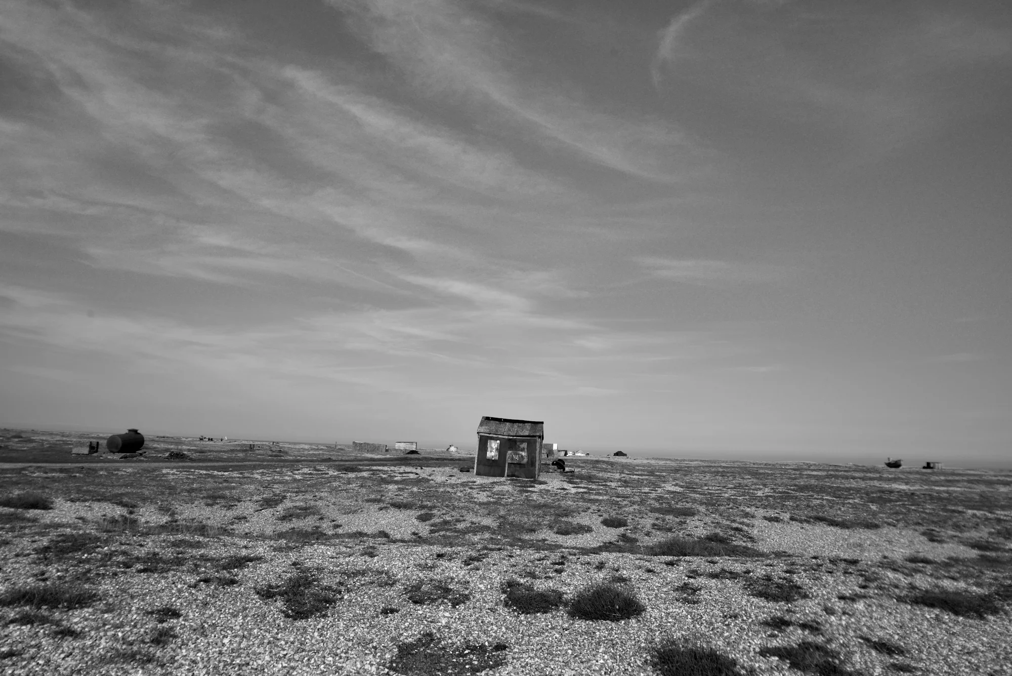 Dungeness