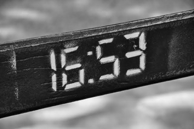_DSC0292.jpg