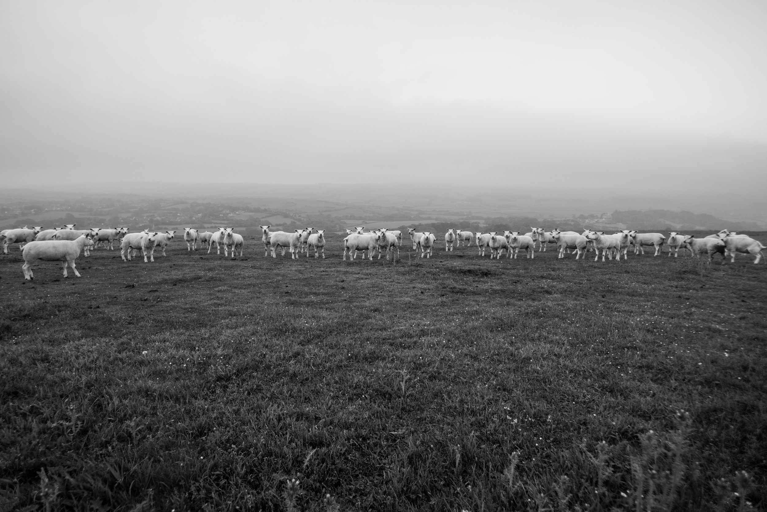 Dorset, UK