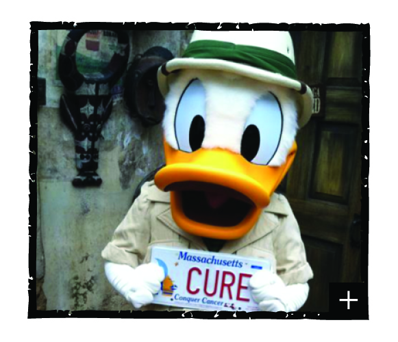 CC Web Donald Duck with plate-01.jpg