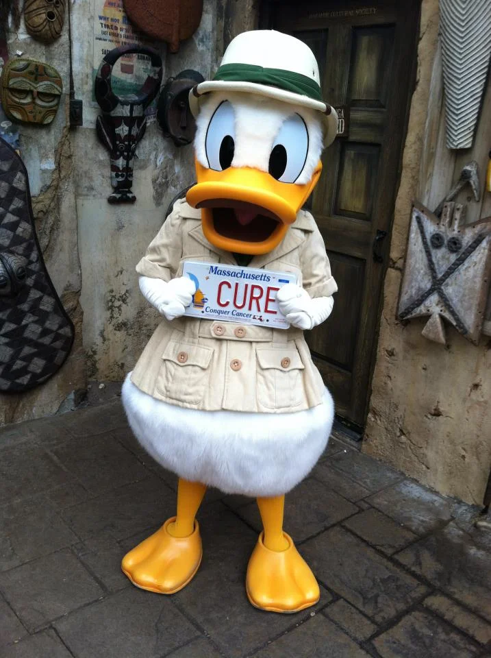 CCC Donald Duck.jpg