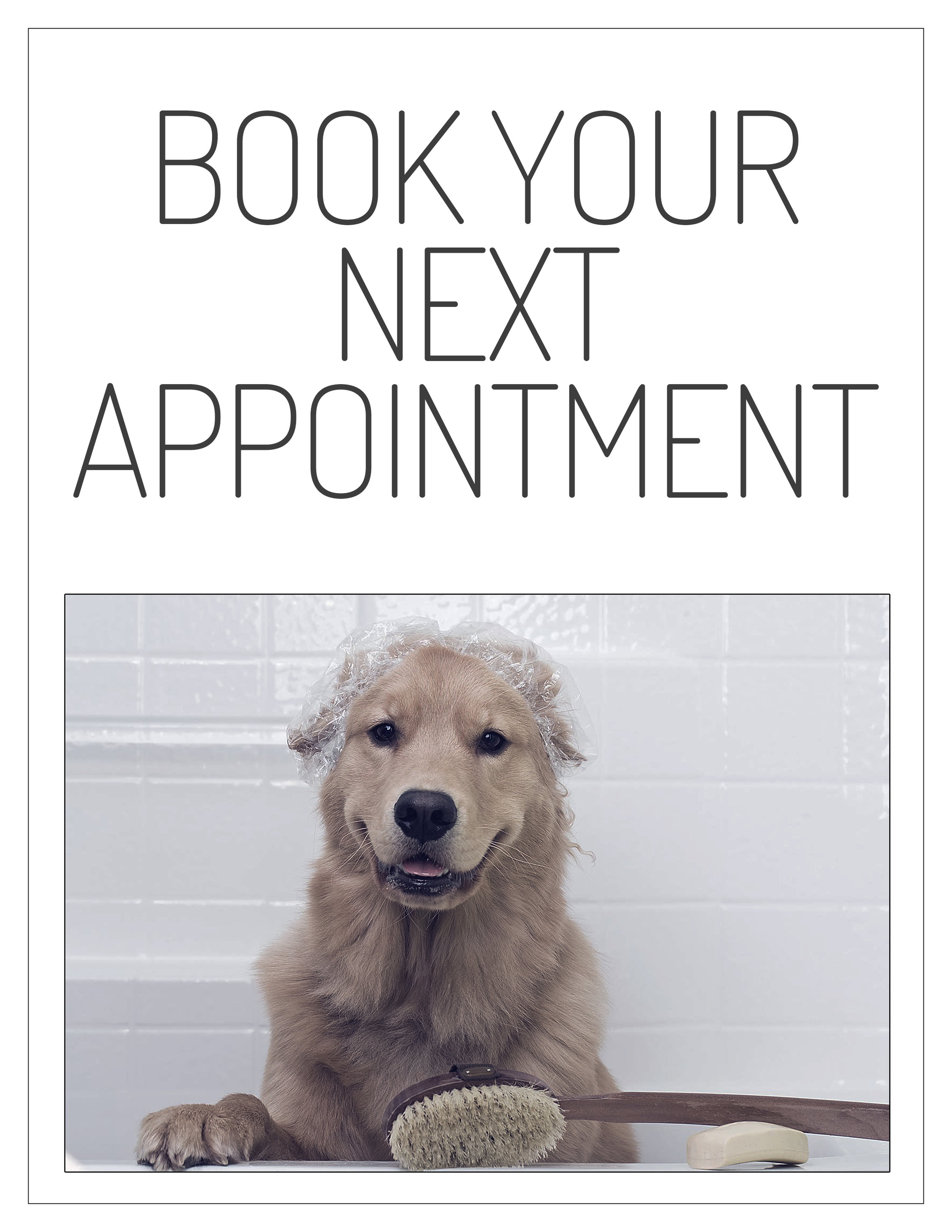 dog grooming near me walk in