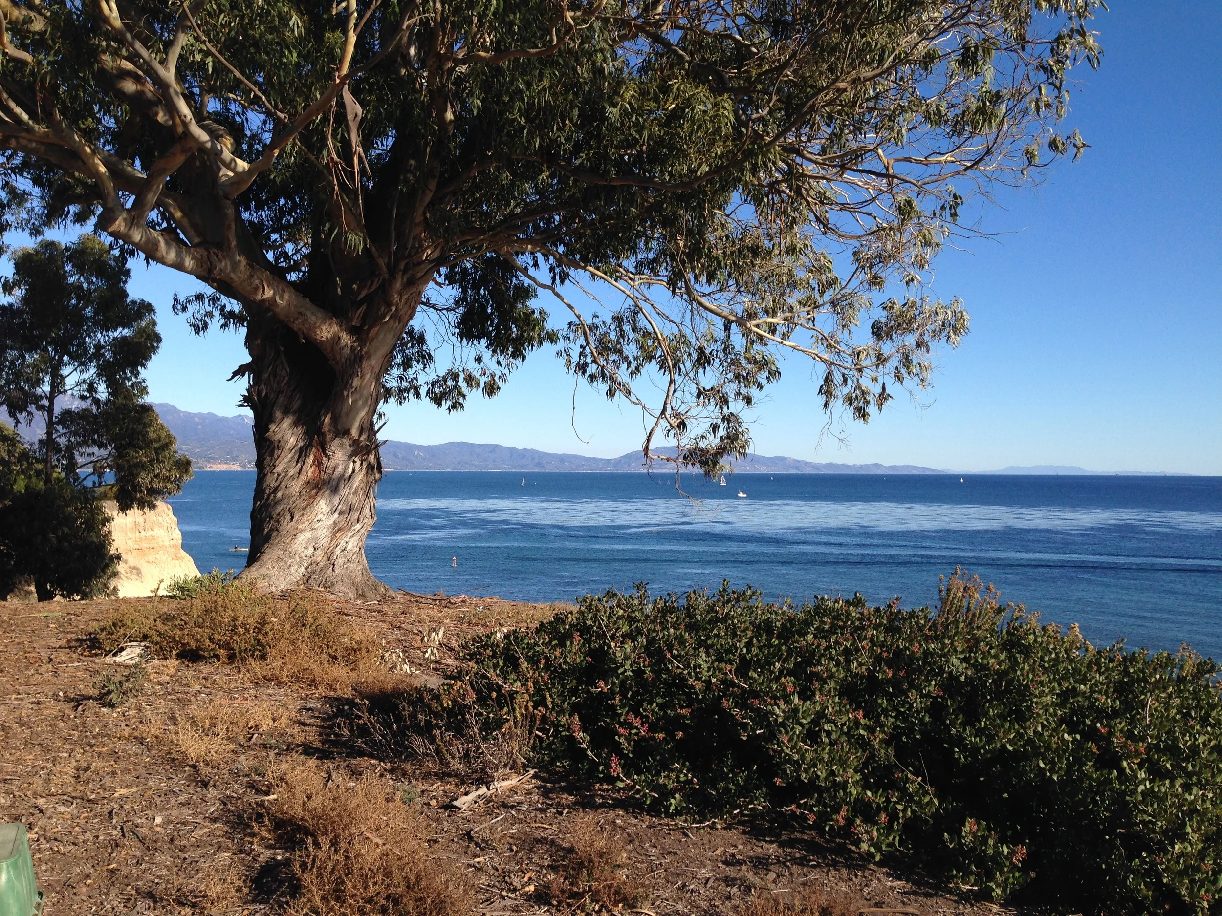 Shoreline Park, Santa Barbara