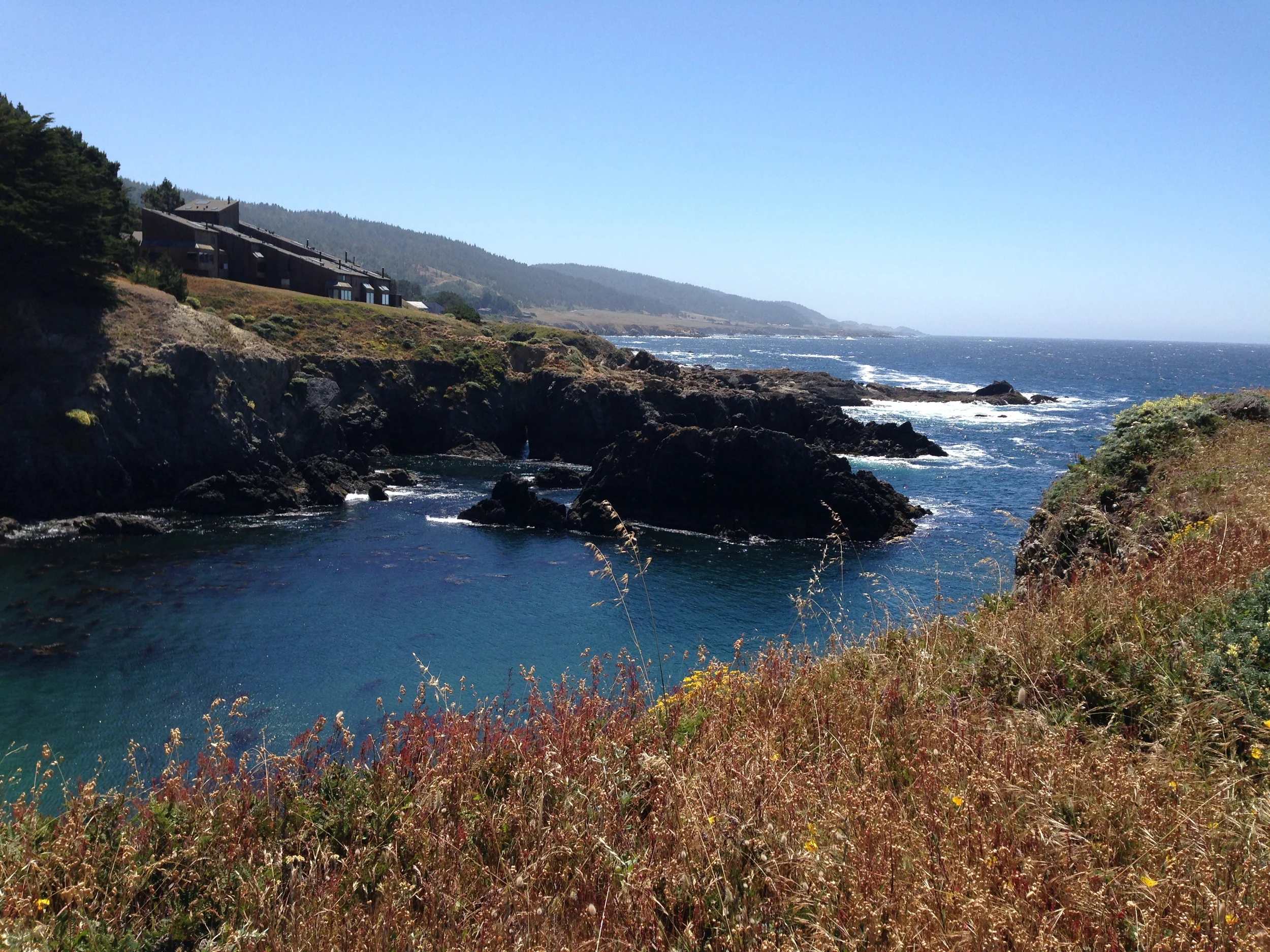 Near the Sea Ranch Lodge