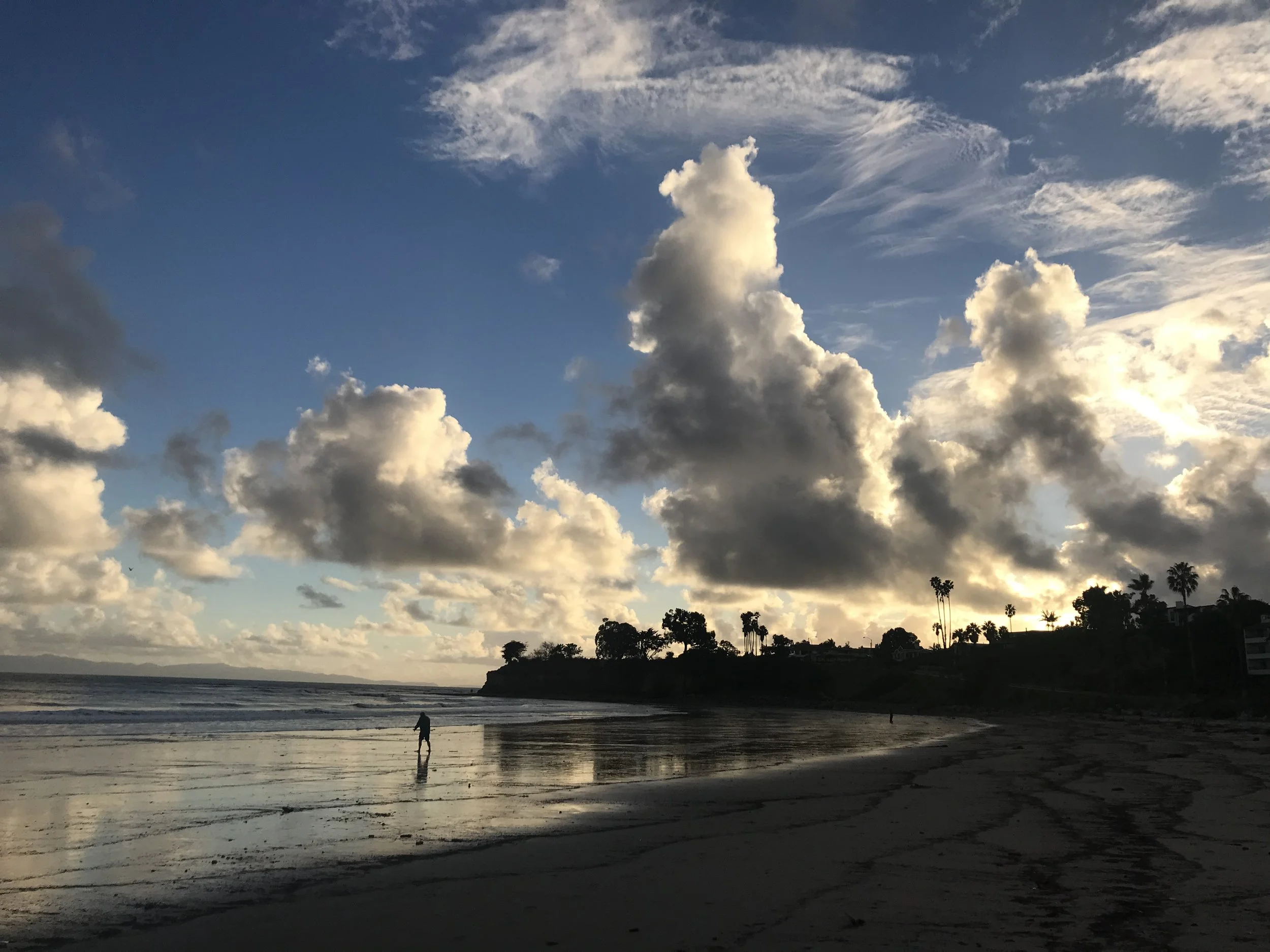 2019-02-04 16.55.57.jpg