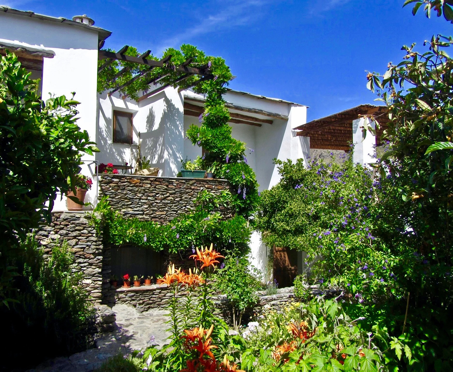 house from garden 2 2.jpg