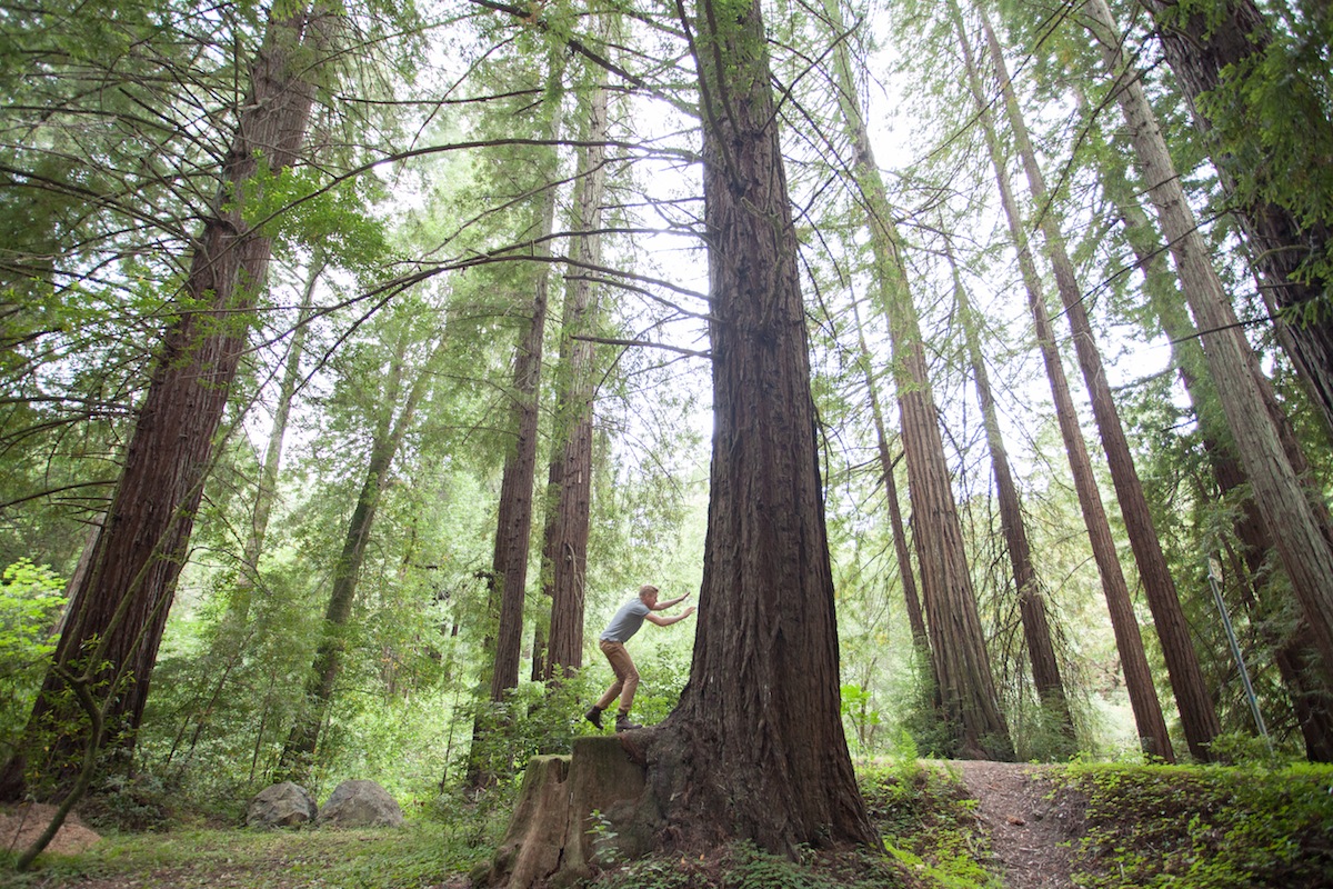 honeymoon-portrait-pacific-northwest-6.jpg