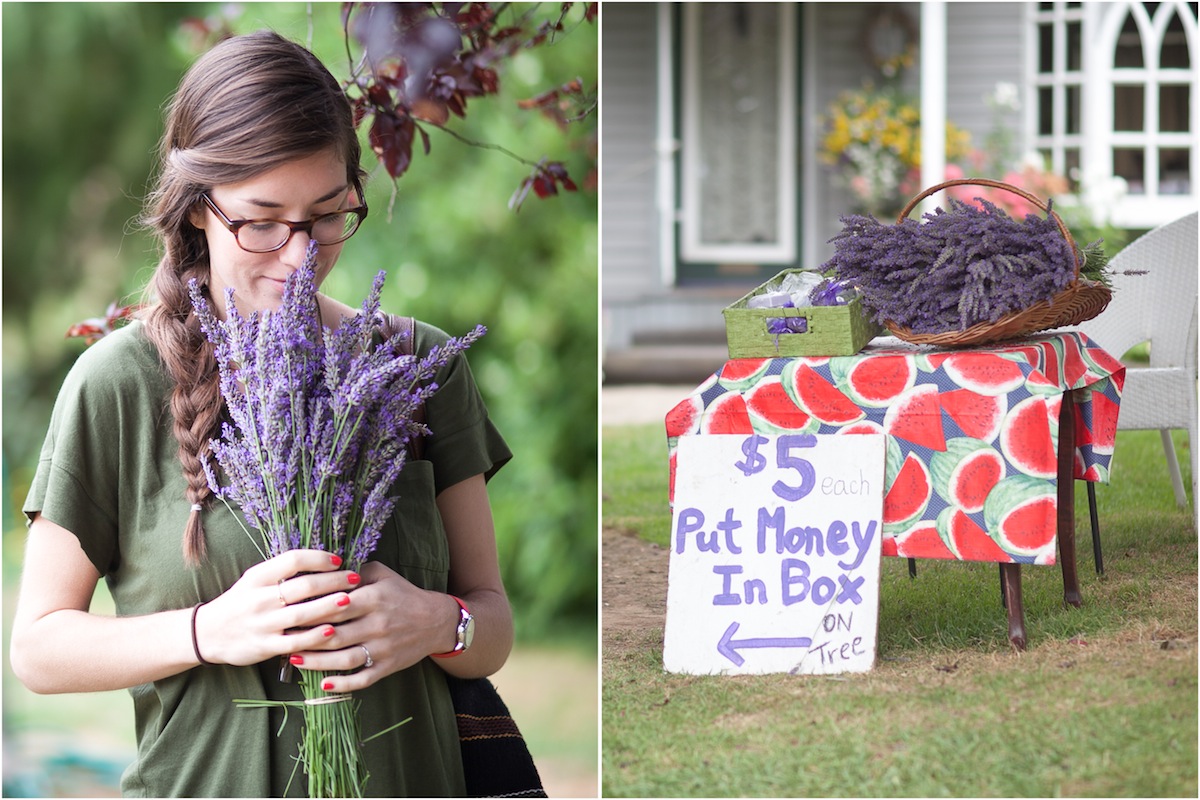lavender-honeymoon-portrait.jpg
