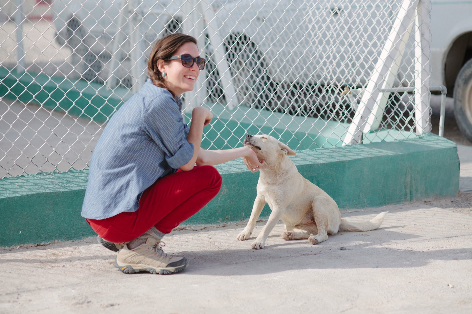 Boquillas-Smiling-Dog.jpg