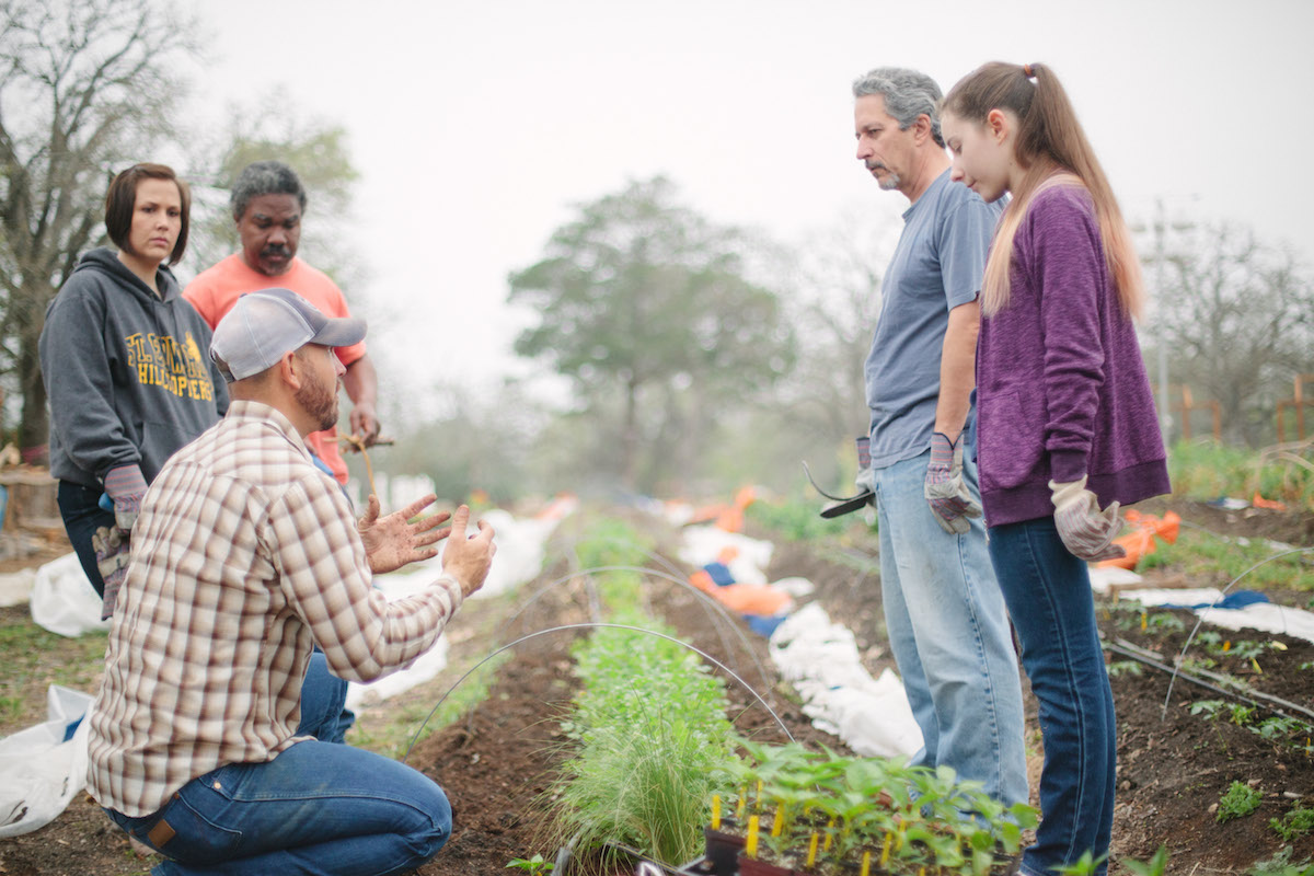urban_farm_genesis_gardens_ministry_austin-2.jpg