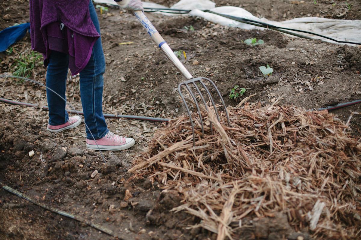 urban_farm_genesis_gardens_ministry_austin-4.jpg