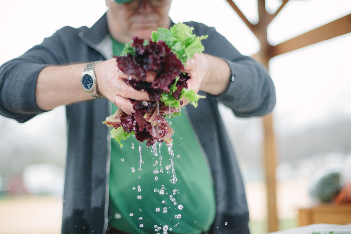urban_farm_genesis_gardens_ministry_austin-8.jpg