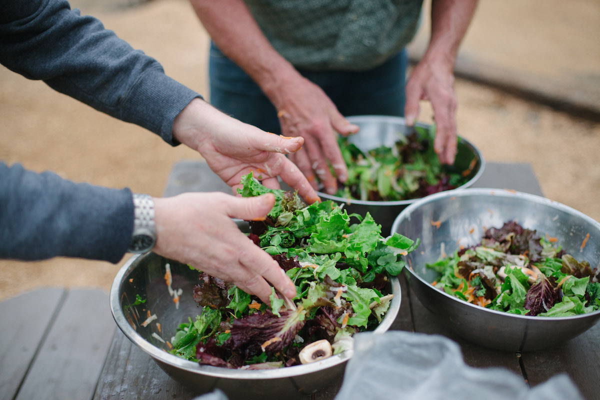urban_farm_genesis_gardens_ministry_austin-10.jpg