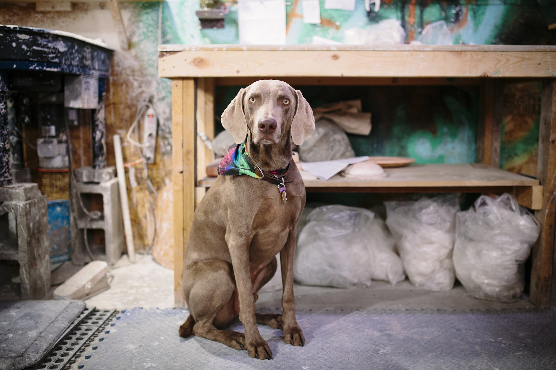 gangbusters-pottery-bozeman-montana-wedding-photographer-9.jpg