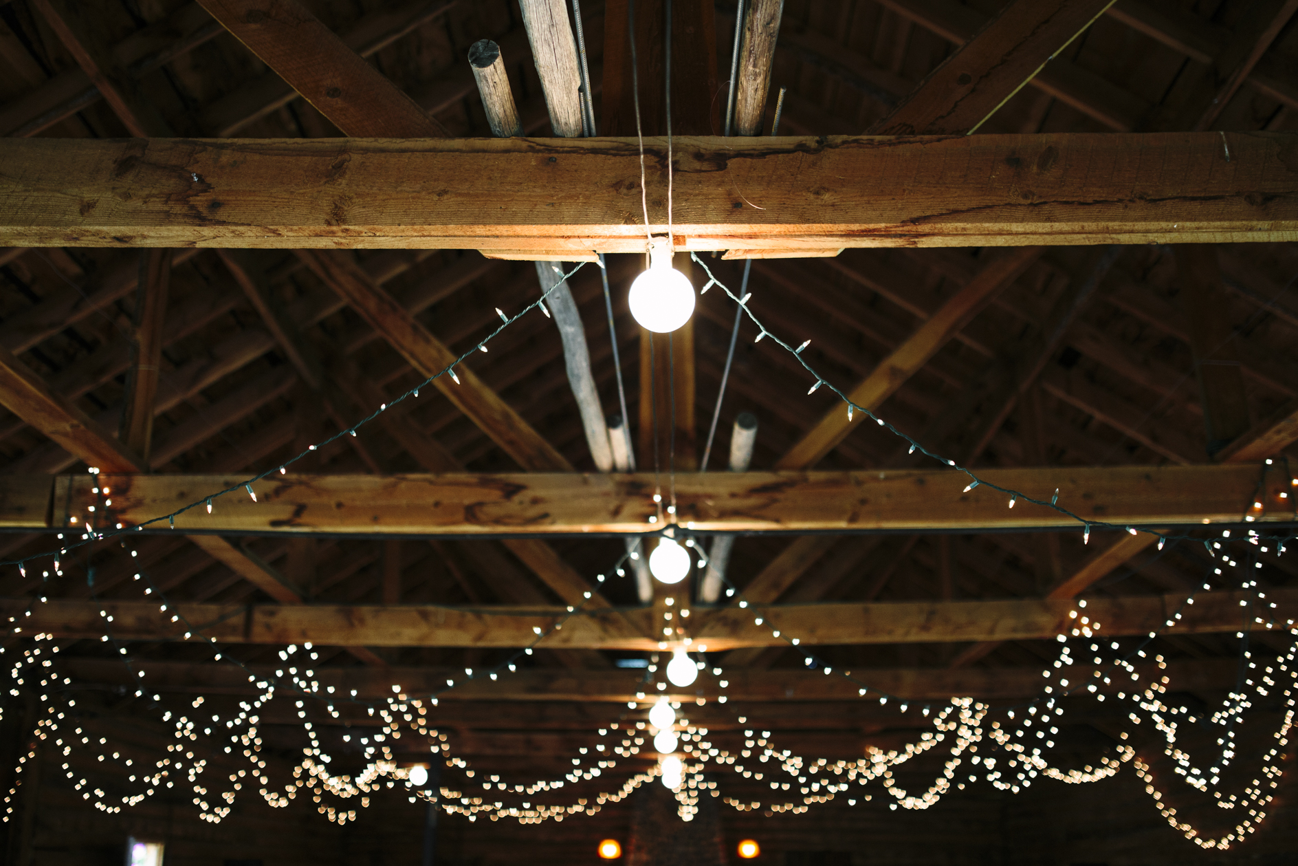 Montana Wedding Photographer