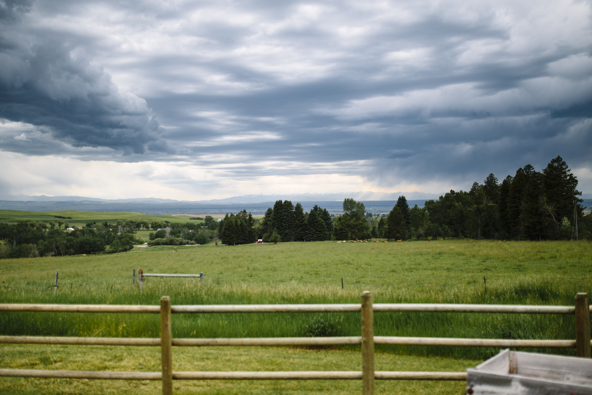 Montana Wedding Photographer