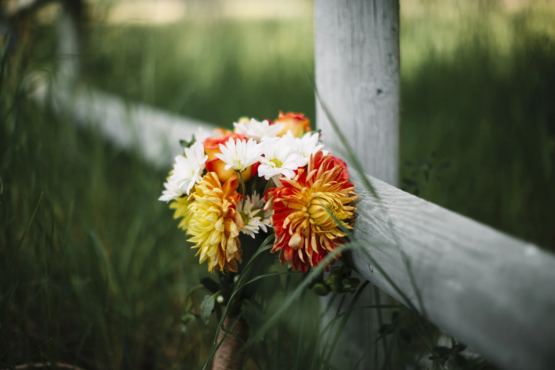 Montana Wedding Photographer