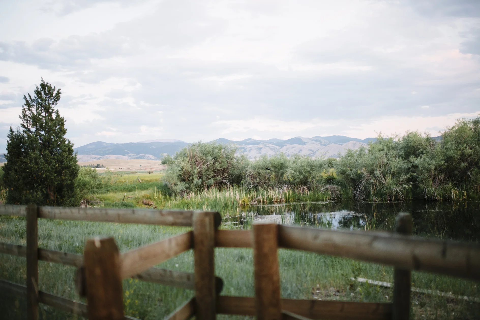 Montana Wedding Photographer