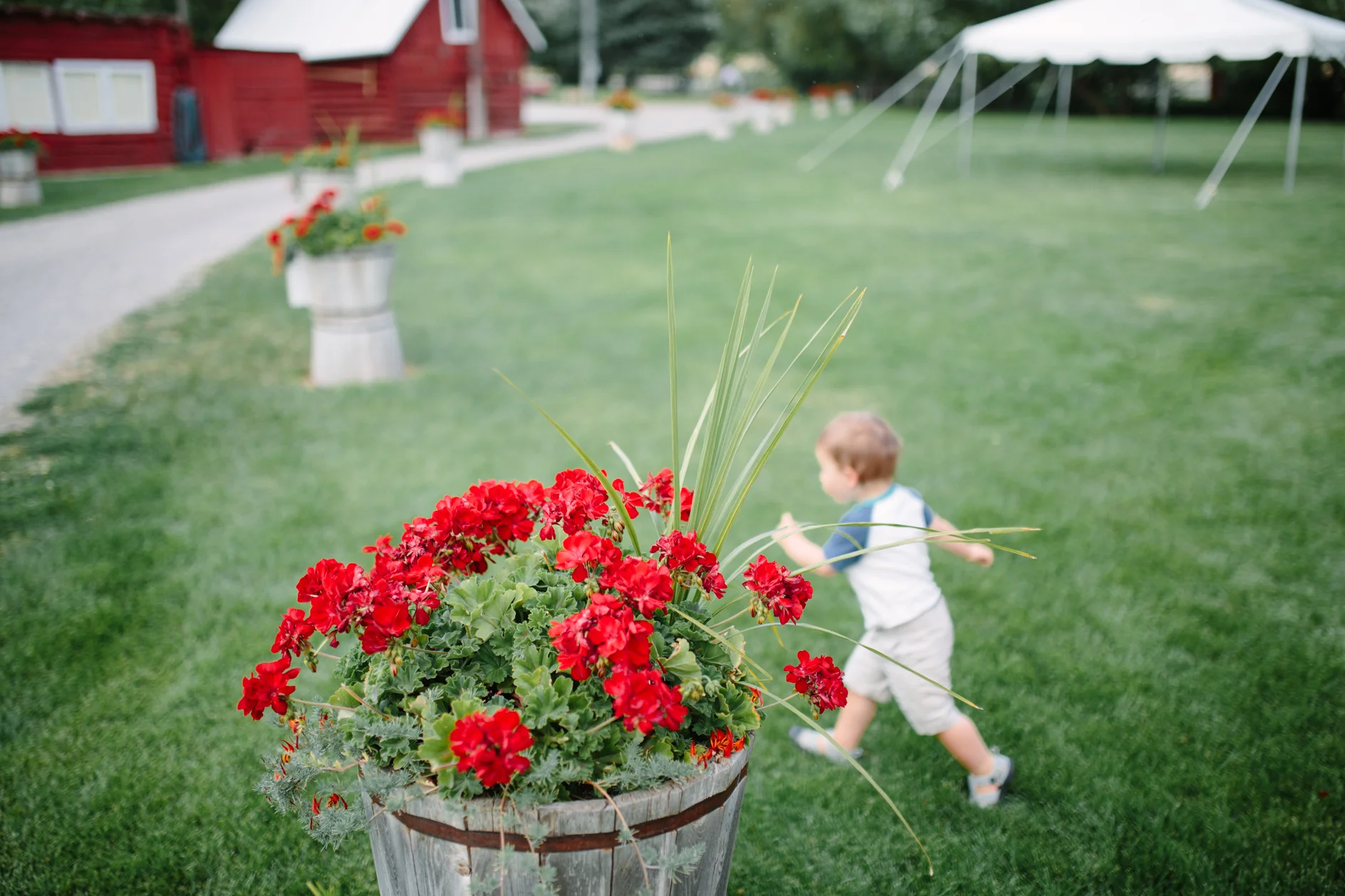 Montana Wedding Photographer