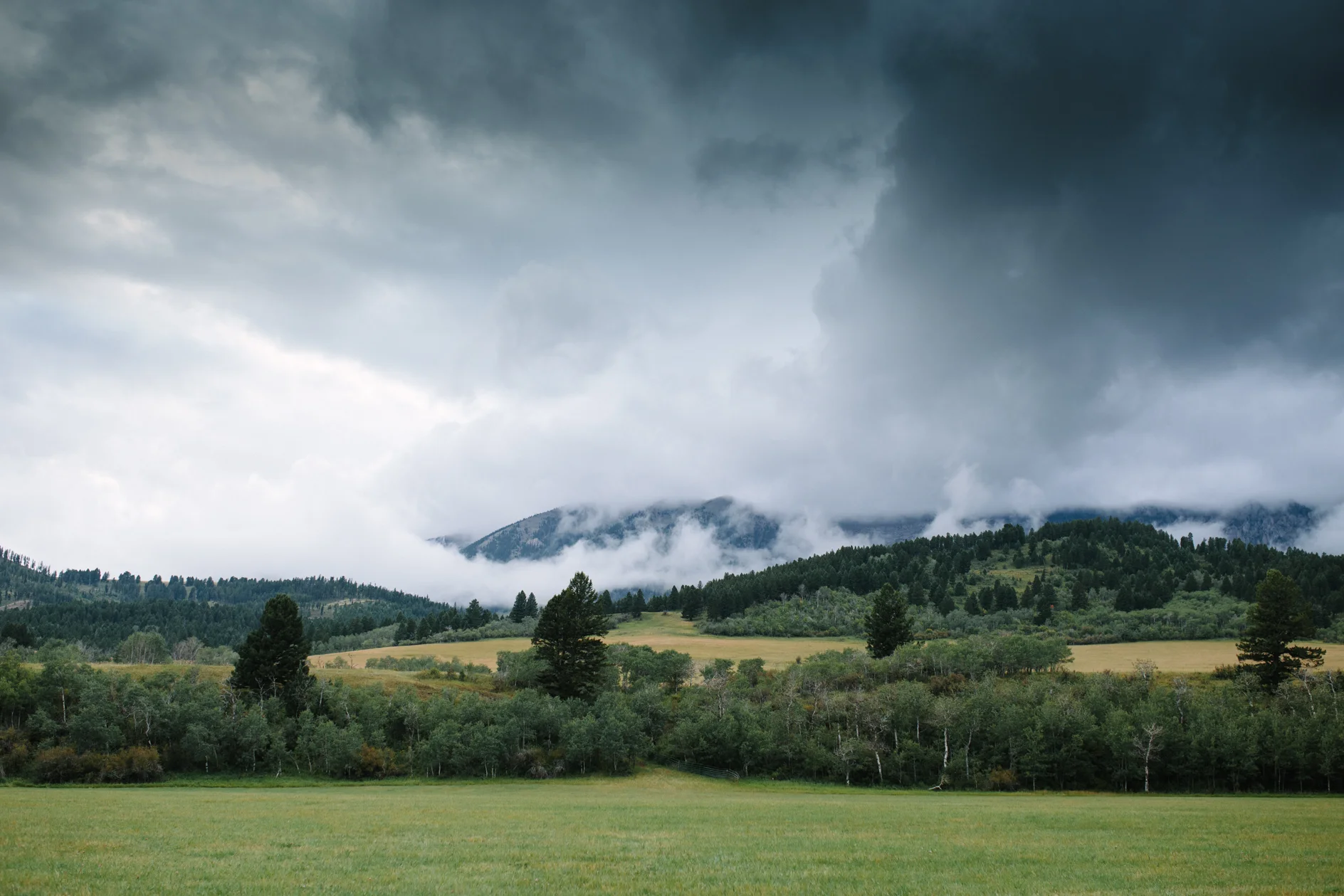 Bozeman Wedding Photographer