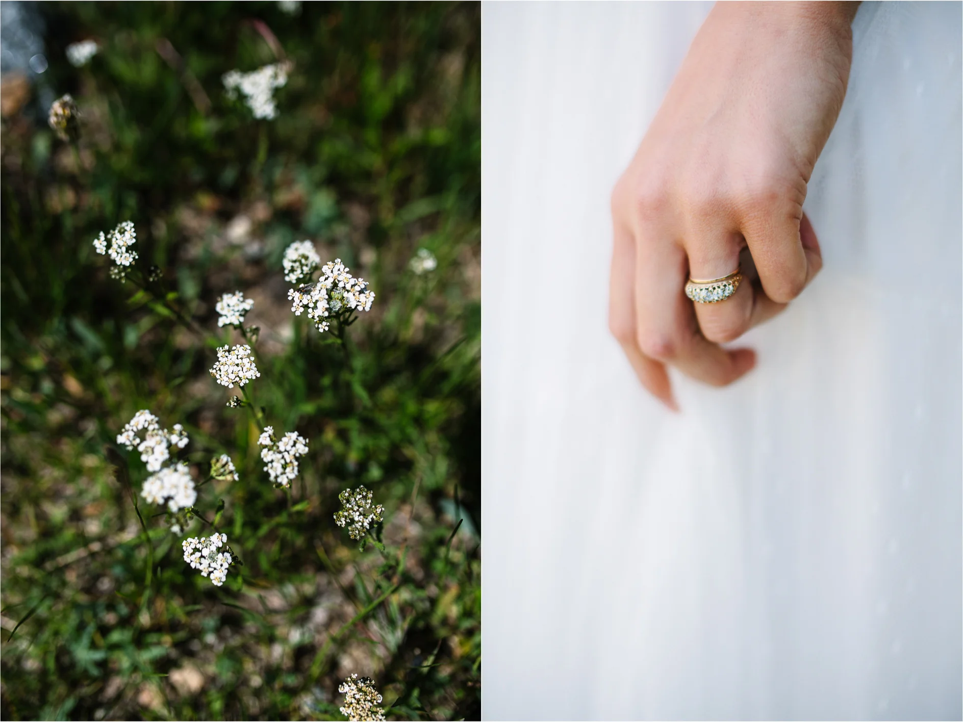 Rocky Mountain Wedding Photographer